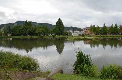 矢ヶ崎公園