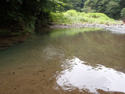 神奈川某川