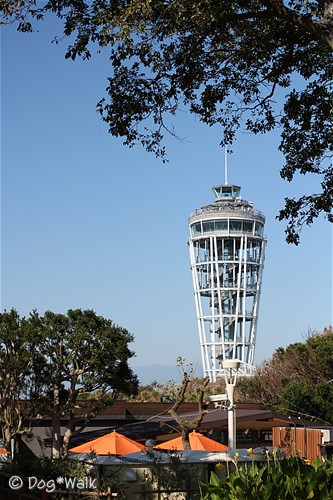 江の島シーキャンドル（江の島展望灯台）