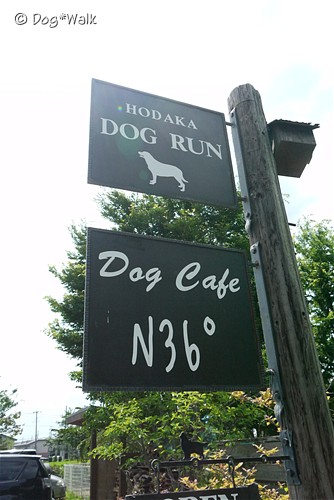 Hodaka Dog Cafe N36°