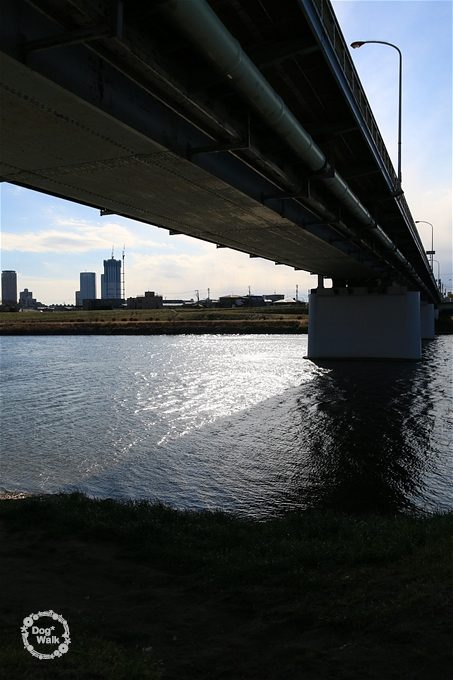 川と橋