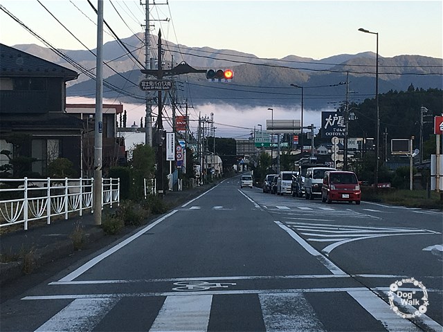 富士吉田の雲海