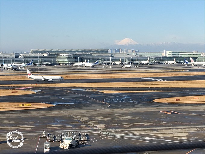 羽田空港と富士山